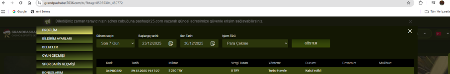 Ekran görüntüsü 2025-12-30 025907.png