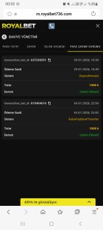 Screenshot_20260130_000022_Samsung Internet.jpg