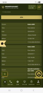 Screenshot_20260217_120356_Samsung Internet.jpg