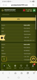 Screenshot_20260318_212815_Samsung Internet.jpg