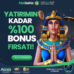 1667377912662.png 1667377912662.png