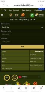 Screenshot_20230328-231044_Samsung Internet.jpg