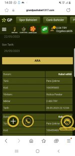 Screenshot_20230529-143346_Samsung Internet.jpg