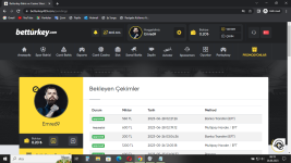 Ekran Görüntüsü (13).png