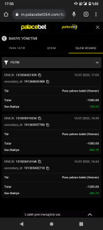 Ekran görüntüleri_20230715-175509.png