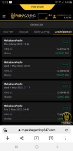 Screenshot_20220505-122814_Browser Alpha.jpg