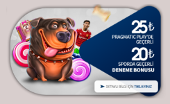 Ekran Alıntısı.PNG