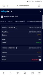 Screenshot_20231026-172322_Samsung Internet.jpg