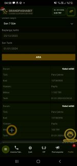 Screenshot_20240101-045855_Samsung Internet.jpg