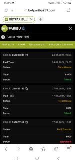 Screenshot_20240125_160322_Samsung Internet.jpg